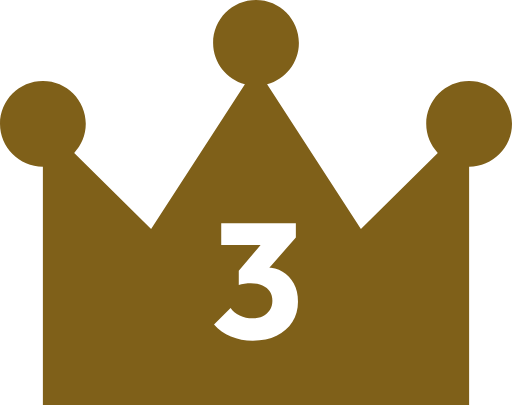 NO.3